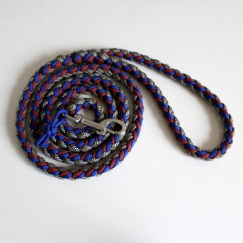 laisse paracord double