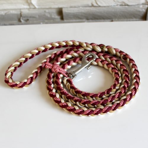 laisse paracord double