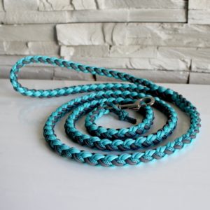 laisse paracord double