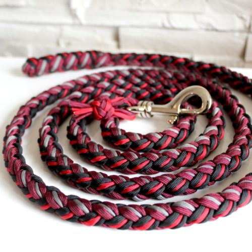 Longe cheval paracord