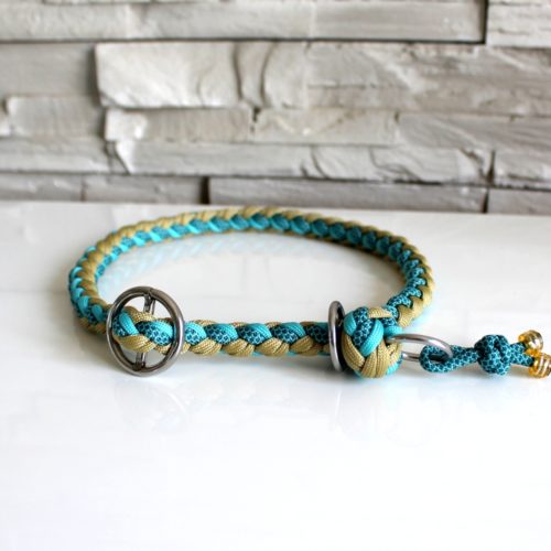 collier paracord chien lasso