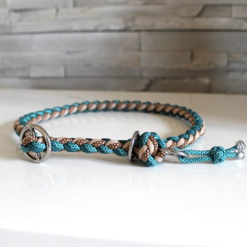 collier paracord chien lasso