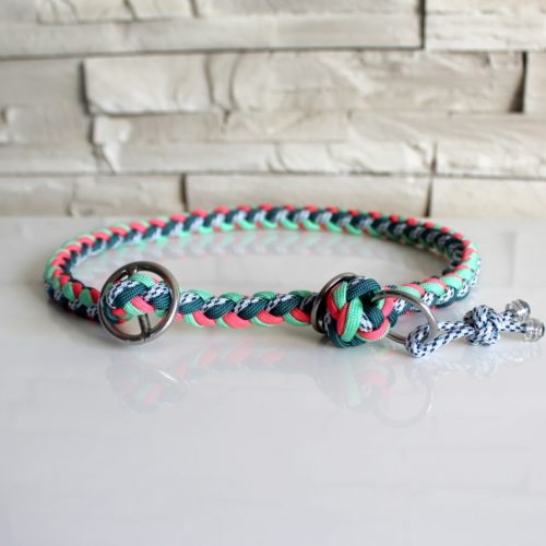 collier paracord chien lasso