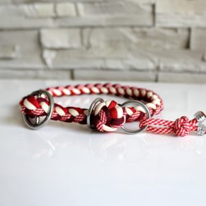 collier paracord chien lasso