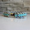 collier paracord chien Laïka