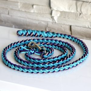 longe paracord cheval